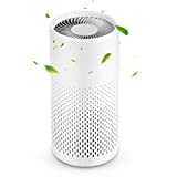 CLEVAST Air Purifiers for Home, H13 True HEPA Air Filter with Japanese Motor, 3-Stage Filtration System for 99.97% Smoke, Pollen, Pet Dander, and etc.